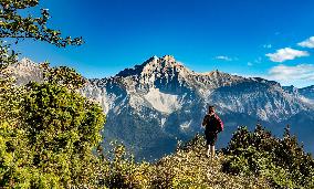 Illustration - The Alps in Summer