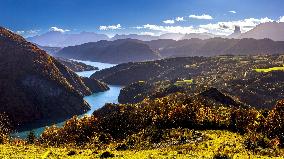 Illustration - The Alps in Summer