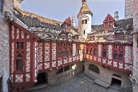 Illustration - The Alps in Summer