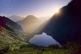 Illustration - The Alps in Summer