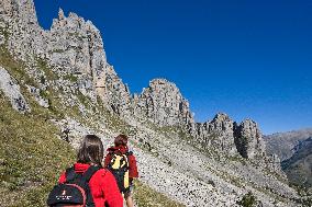 Illustration - The Alps in Summer