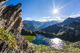 Illustration - The Alps in Summer