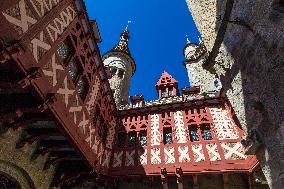 Illustration - The Alps in Summer