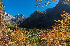 Illustration - The Alps in Summer