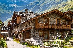 Illustration - The Alps in Summer