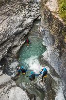 Illustration - The Alps in Summer