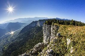 Illustration - The Alps in Summer