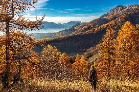 Illustration - The Alps in Summer