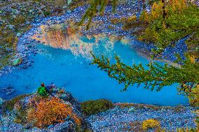 Illustration - The Alps in Summer