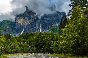 Illustration - The Alps in Summer