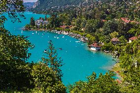 Illustration - The Alps in Summer