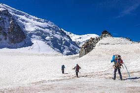 Illustration - The Alps in Summer