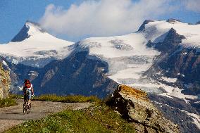 Illustration - The Alps in Summer