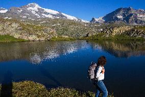 Illustration - The Alps in Summer