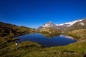 Illustration - The Alps in Summer