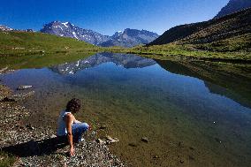 Illustration - The Alps in Summer