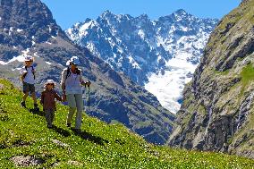 Illustration - The Alps in Summer