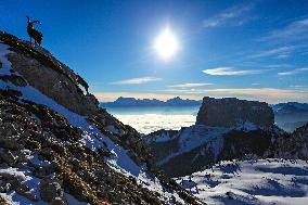 Illustration - The Alps in Summer