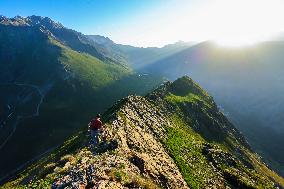 Illustration - The Alps in Summer