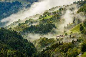 Illustration - The Alps in Summer