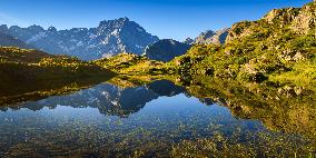 Illustration - The Alps in Summer
