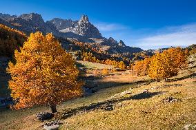 Illustration - The Alps in Summer