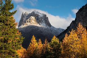 Illustration - The Alps in Summer