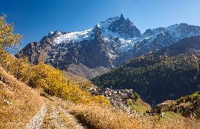 Illustration - The Alps in Summer