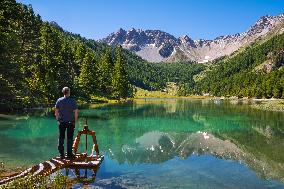 Illustration - The Alps in Summer