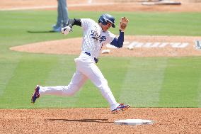 Baseball:Shohei Ohtani