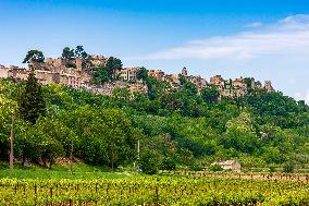 Illustration - Provence