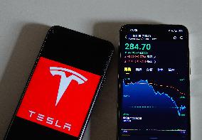 Tesla Stock Price Plummet