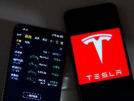 Tesla Stock Price Plummet