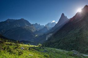Illustration - The Alps in Summer