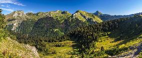 Illustration - The Alps in Summer