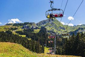 Illustration - The Alps in Summer