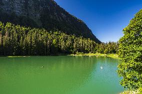 Illustration - The Alps in Summer