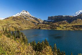 Illustration - The Alps in Summer