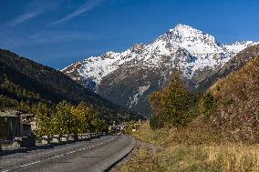 Illustration - The Alps in Summer