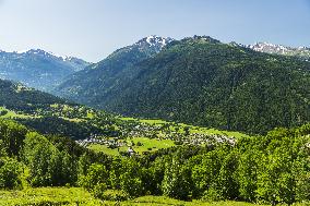 Illustration - The Alps in Summer