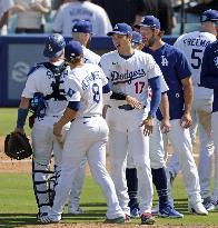 Baseball: Mets vs. Dodgers