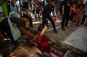 Sacrifices During Eid al-Adha Celebrations in Medan