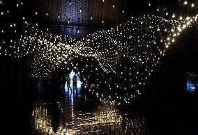 New Exhibition Euphoria - Art Is In The Air At Grand Palais - Paris