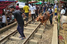 Bangladeshi Eid al-Adha Festival Preparations