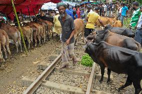 Bangladeshi Eid al-Adha Festival Preparations