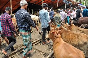 Bangladeshi Eid al-Adha Festival Preparations