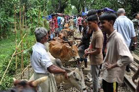 Bangladeshi Eid al-Adha Festival Preparations