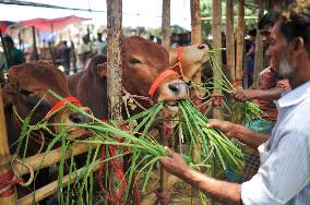 Bangladeshi Eid al-Adha Festival Preparations