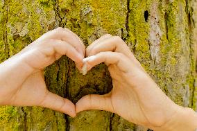 World Environment Day - India