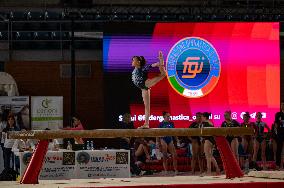 ALTRO - Ginnastica - Coppa Campioni - Ginnastica Artistica Maschile e Femminile